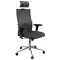 Кресло руководителя Ergolife Sit Air 24/7 B2-281D - Italy+UMF(X1) (Хром + 2D подлокотник) главное фото в маленьком размере